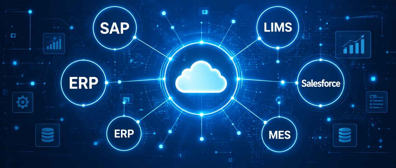 Enterprise System Integration